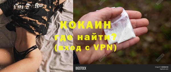 метадон Алексин
