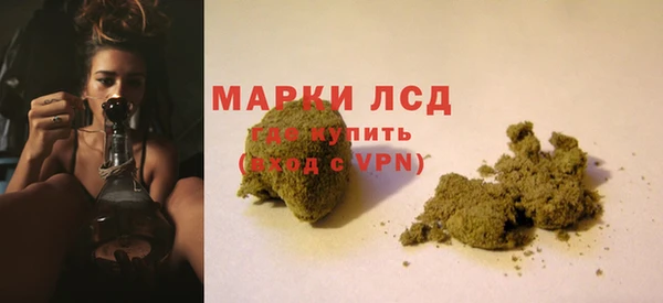 ГАЛЛЮЦИНОГЕННЫЕ ГРИБЫ Абинск
